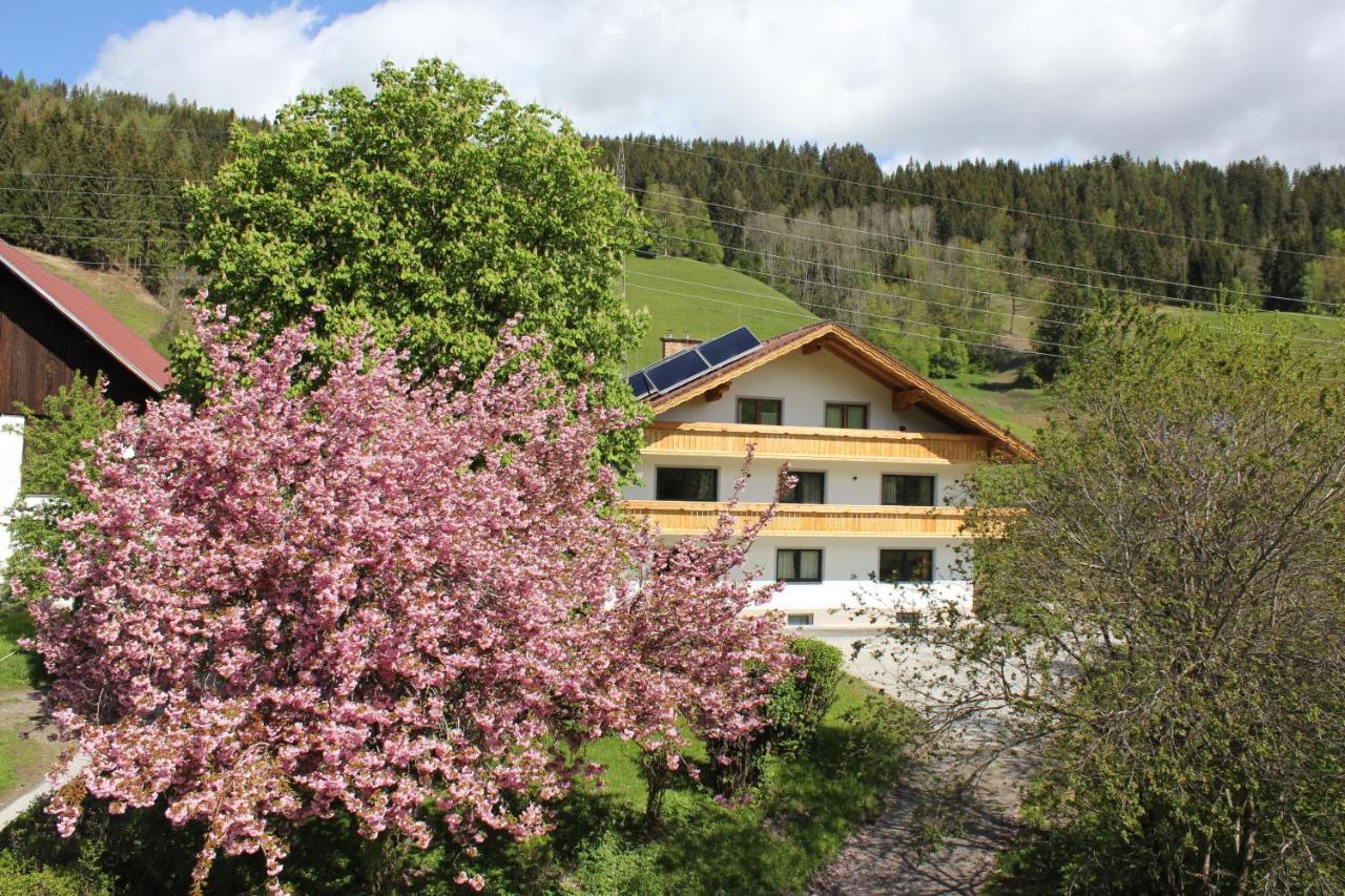 Ferienwohnung Eiblhof Schladming Exterior foto
