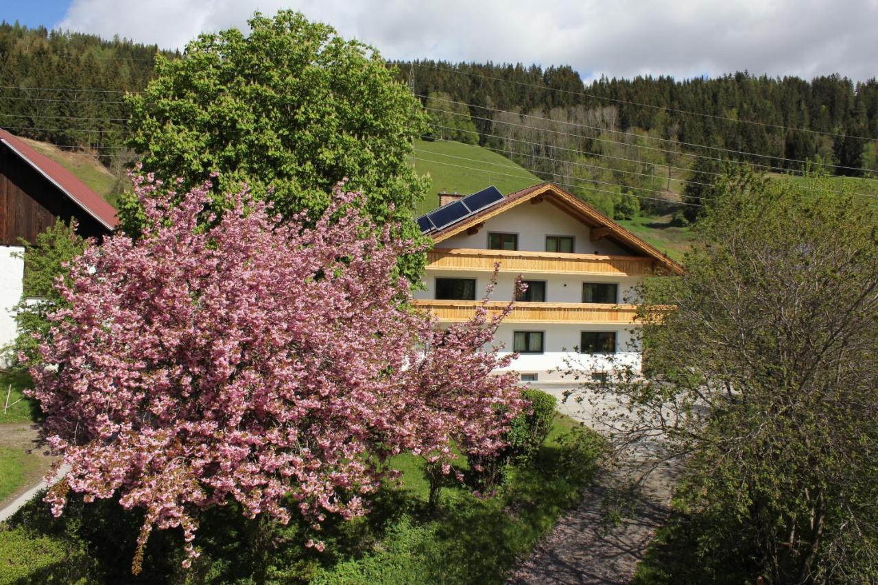 Ferienwohnung Eiblhof Schladming Exterior foto